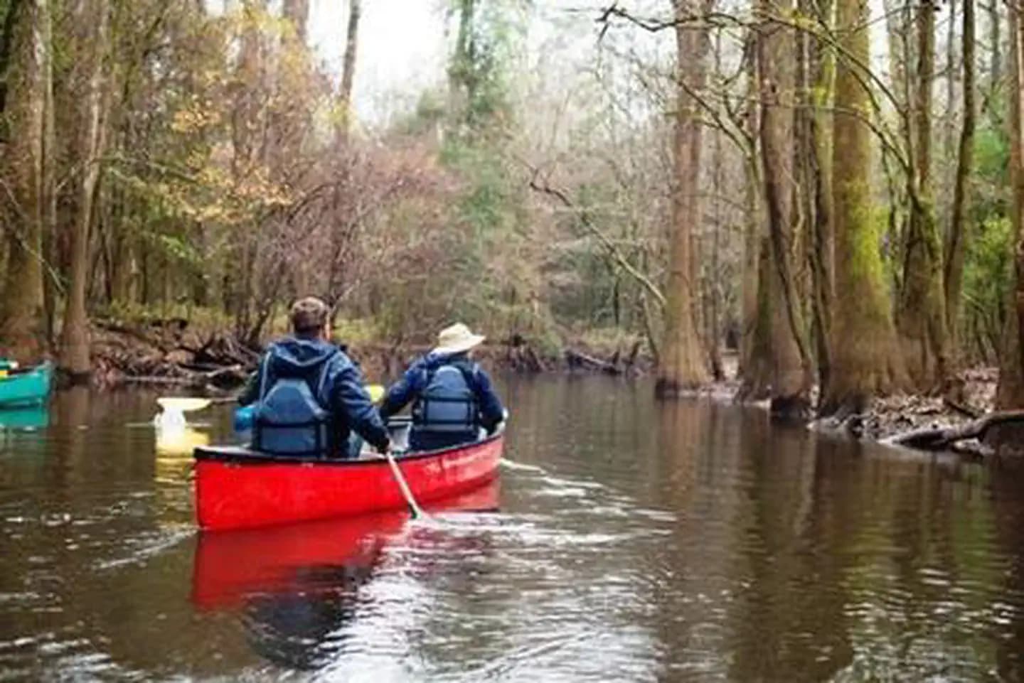 Congaree National Park Ranger-Guided Canoe Tours — photo 2