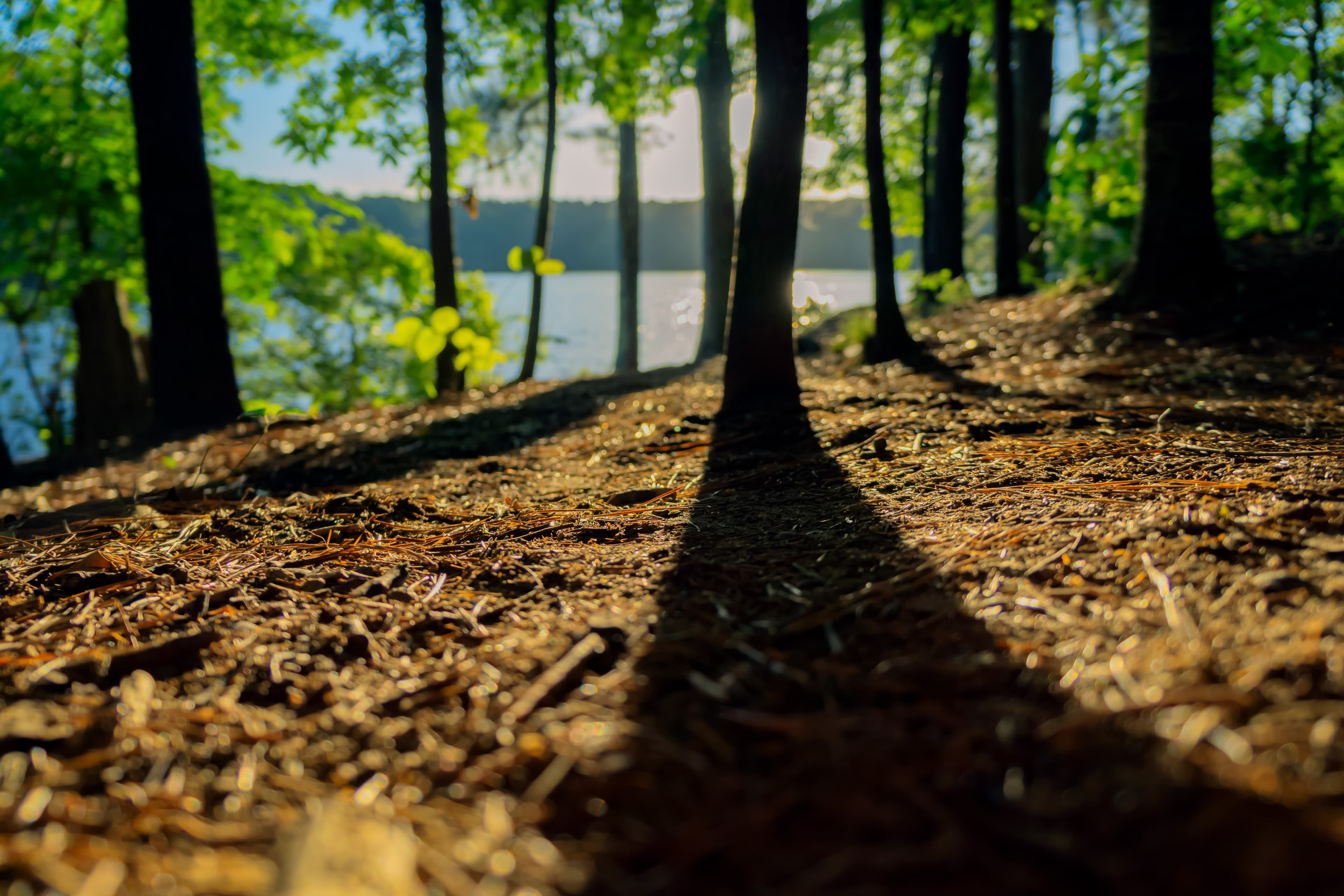 Stone Mountain Park