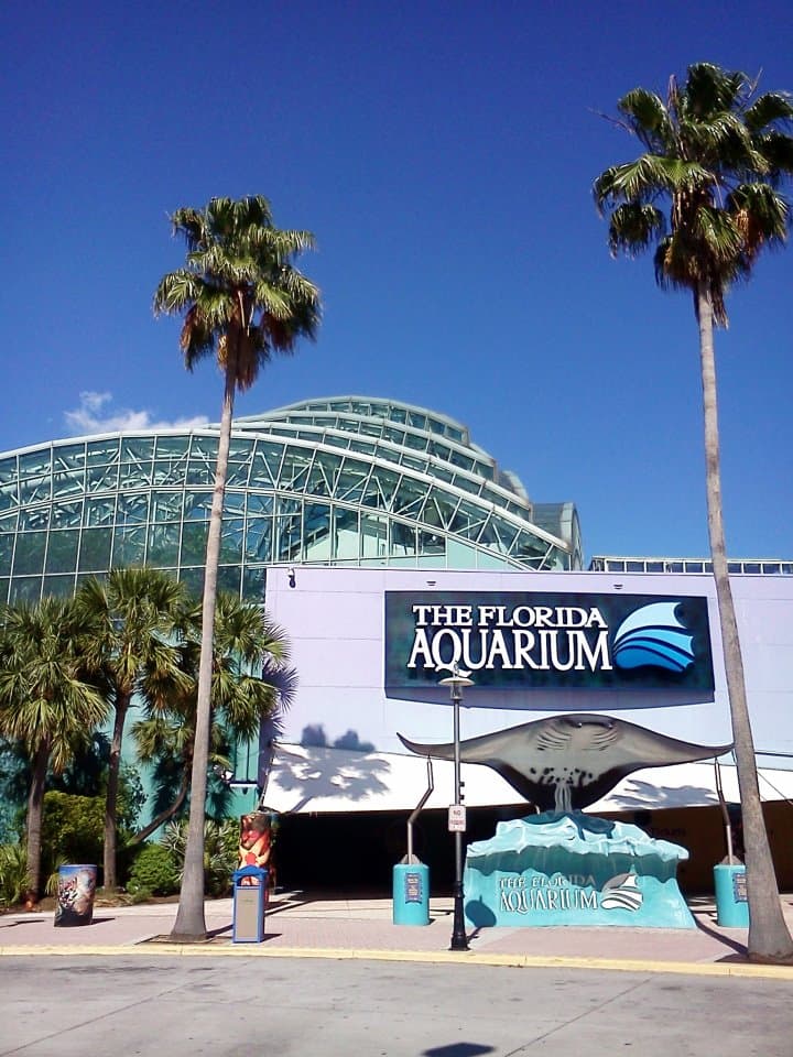 The Florida Aquarium - Tampa