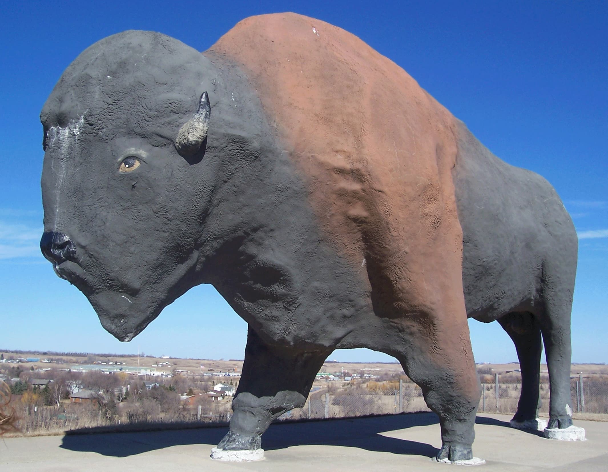 World's Largest Buffalo Monument (Dakota Thunder)