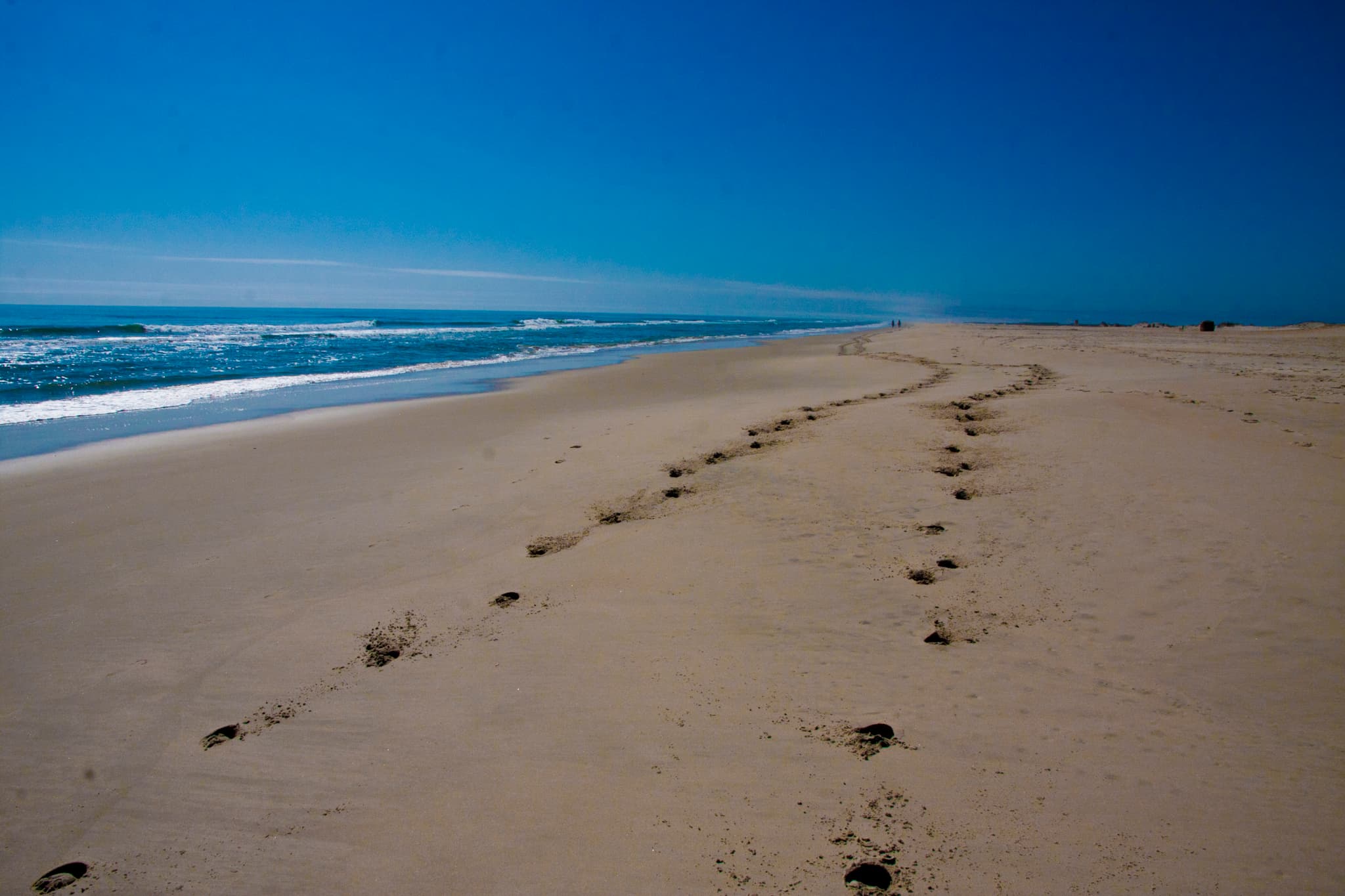Assateague Island National Seashore