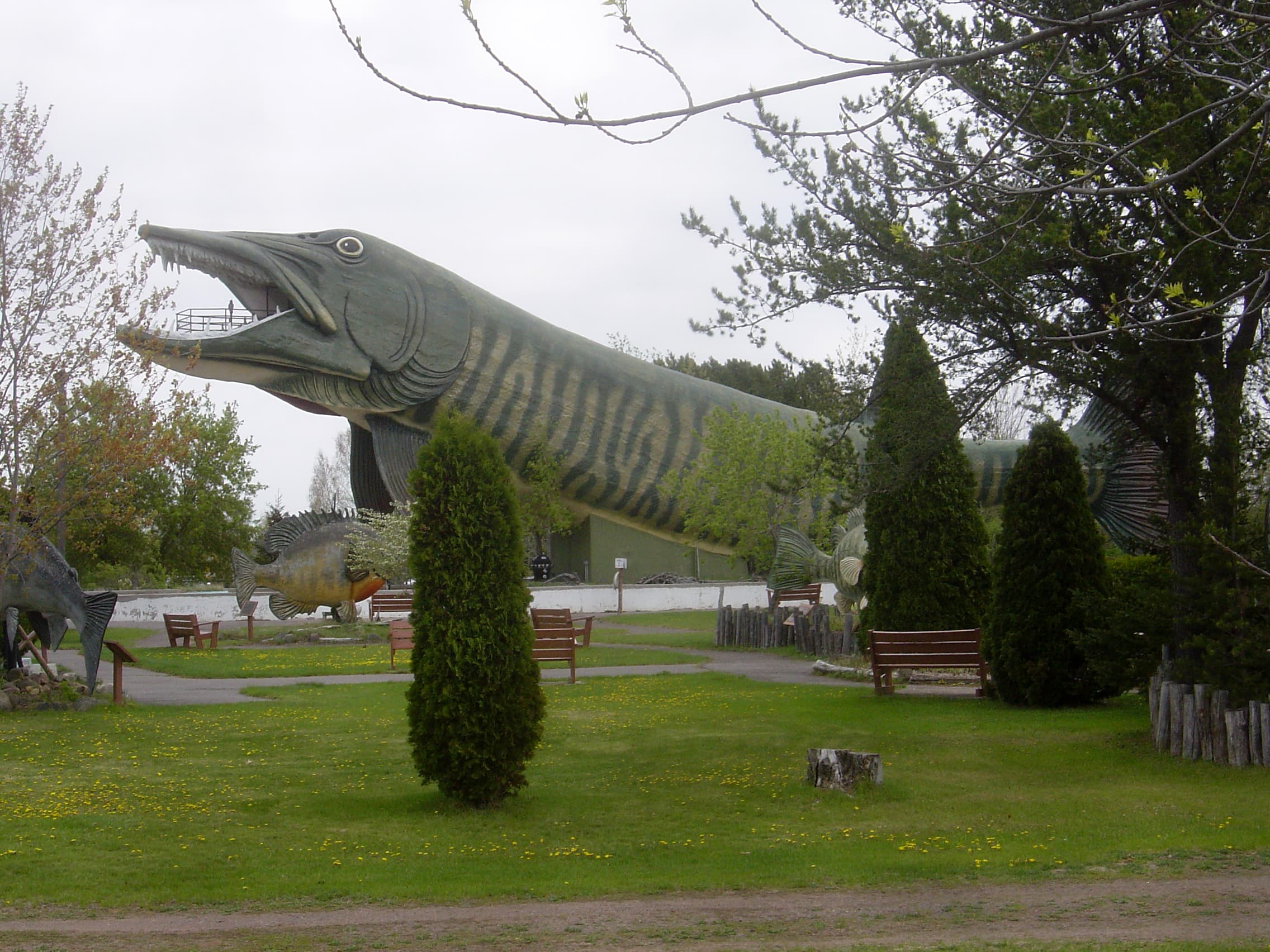Hayward Muskie (National Freshwater Fishing Hall of Fame)