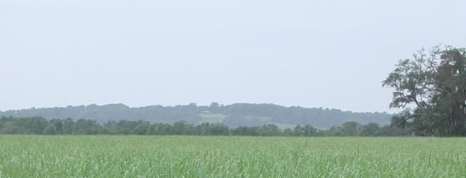 TABASCO Factory - Avery Island