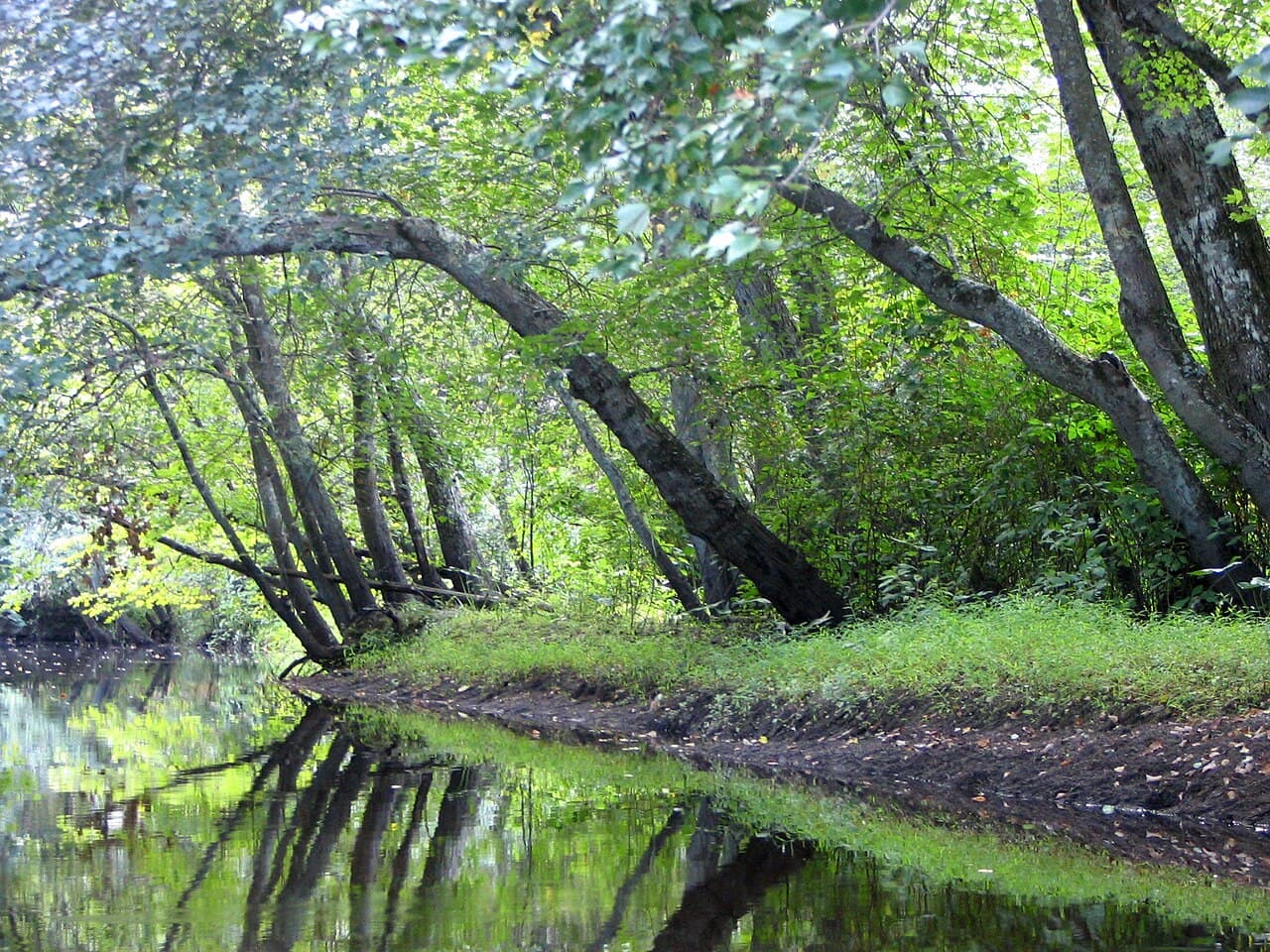 New Jersey Pinelands National Reserve — photo 4