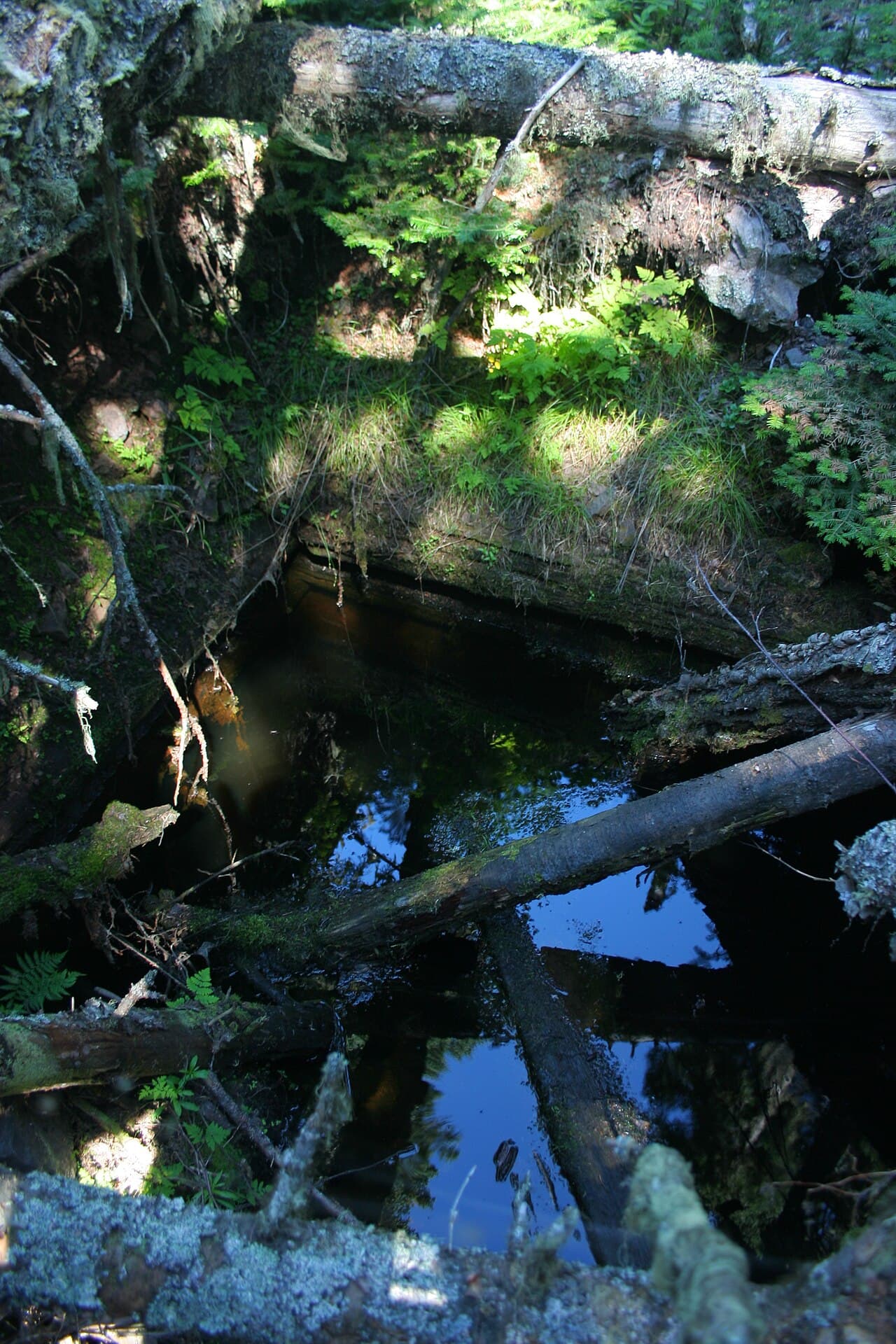 Isle Royale National Park — photo 4