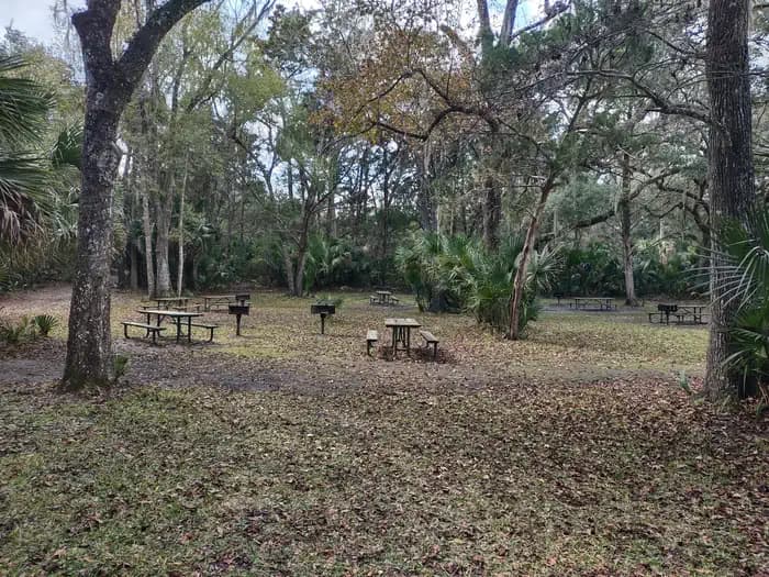 Silver Glen Springs Recreation Area Vehicle Reservations — photo 4